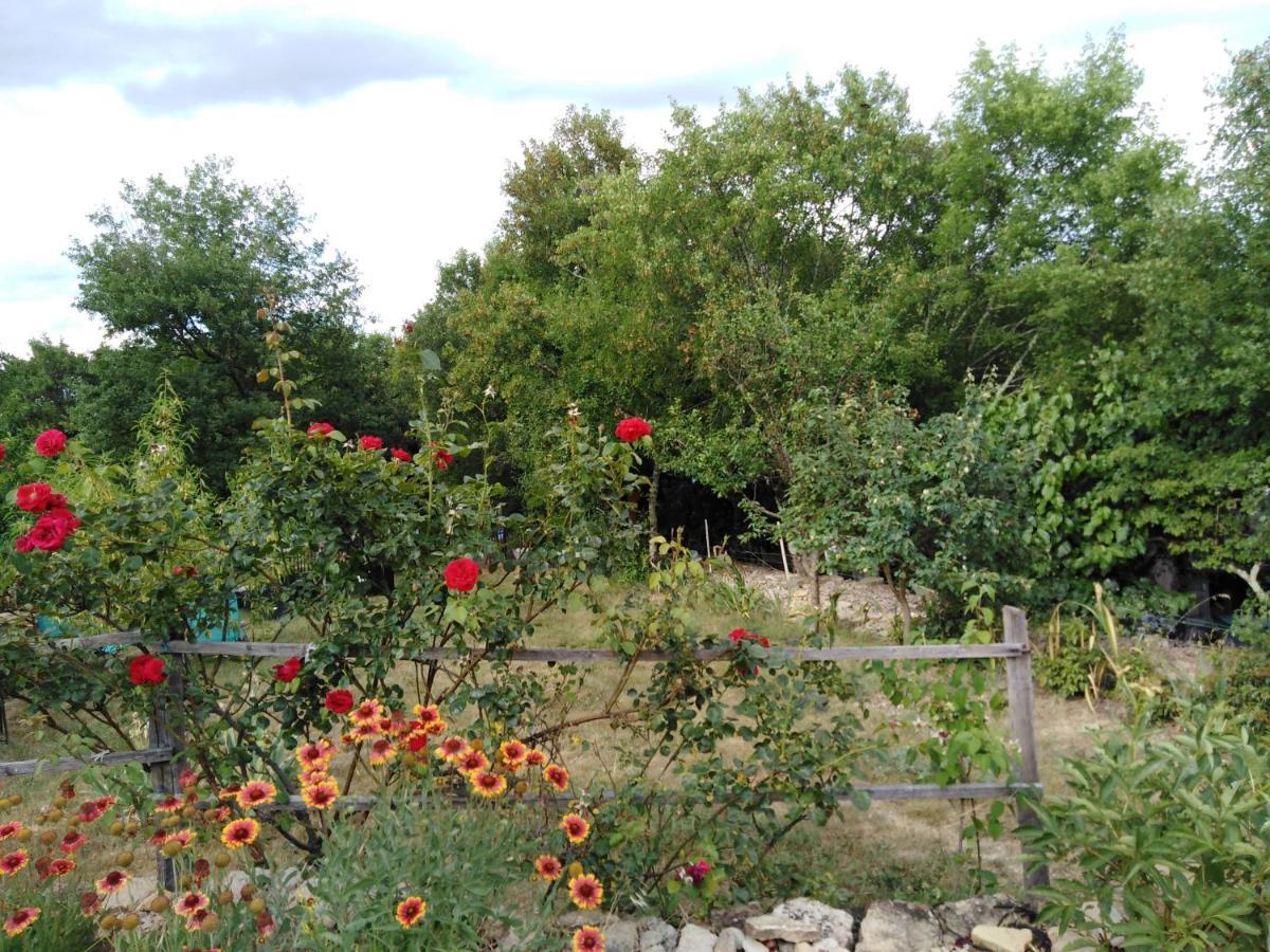 Bed and Breakfast La Grand'Vigne Chauzon Екстер'єр фото